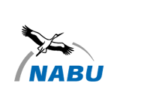 nabu