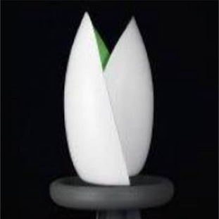 Bild der Windkraftanlage in Tulpenform